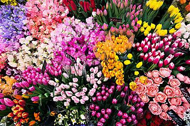 《波斯王子：失落的王冠》即将推出新内容新模式 免费更新